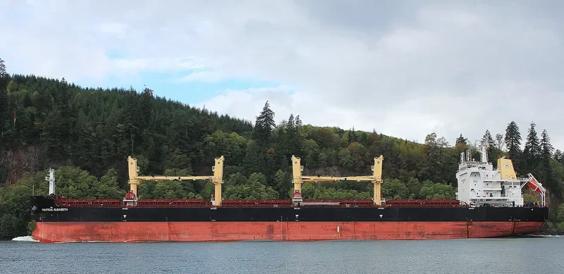 SANTOS EAGLE Bulk Carrier IMO 9699347 photo 5