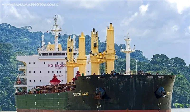 SYDNEY EAGLE Bulk Carrier IMO 9699373