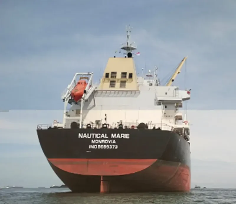 SYDNEY EAGLE Bulk Carrier IMO 9699373 photo 4