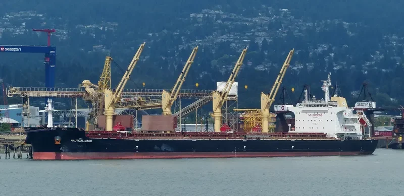 SYDNEY EAGLE Bulk Carrier IMO 9699373 photo 10