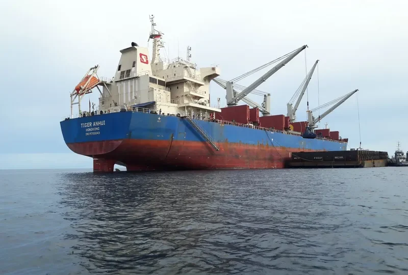 SBI PUMA Bulk Carrier IMO 9700043