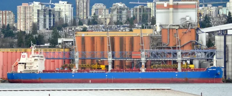 SBI PUMA Bulk Carrier IMO 9700043 photo 3