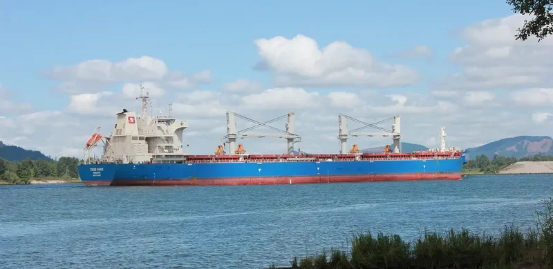 SBI PUMA Bulk Carrier IMO 9700043 photo 9