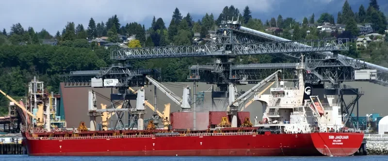 AIKATERINI Bulk Carrier IMO 9700055 photo 5