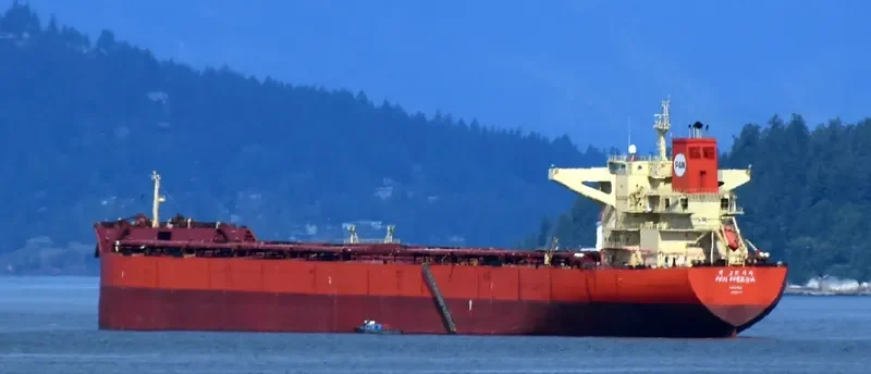 AIKATERINI Bulk Carrier IMO 9700055 photo 6