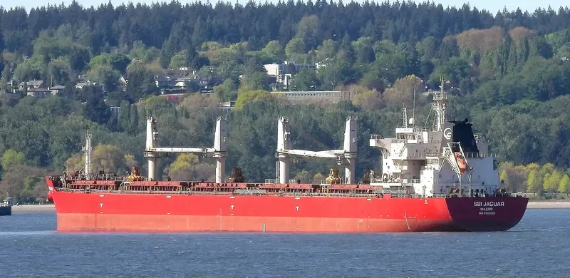 AIKATERINI Bulk Carrier IMO 9700055 photo 10