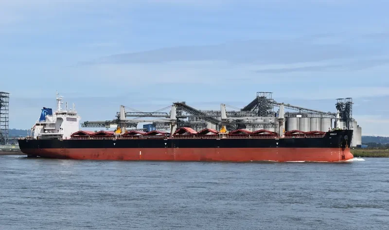 ADAM SCHULTE Bulk Carrier IMO 9700067 photo 6