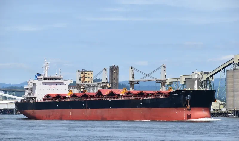 ADAM SCHULTE Bulk Carrier IMO 9700067 photo 7