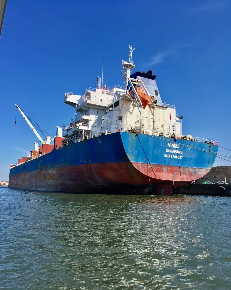 ADAM SCHULTE Bulk Carrier IMO 9700067 photo 10