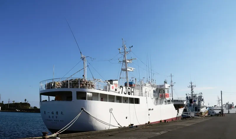 FUKUSEKI.MARU NO1 General Cargo IMO 9700093 photo 4