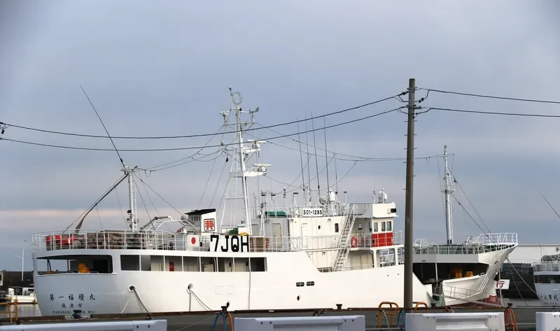 FUKUSEKI.MARU NO1 General Cargo IMO 9700093 photo 8