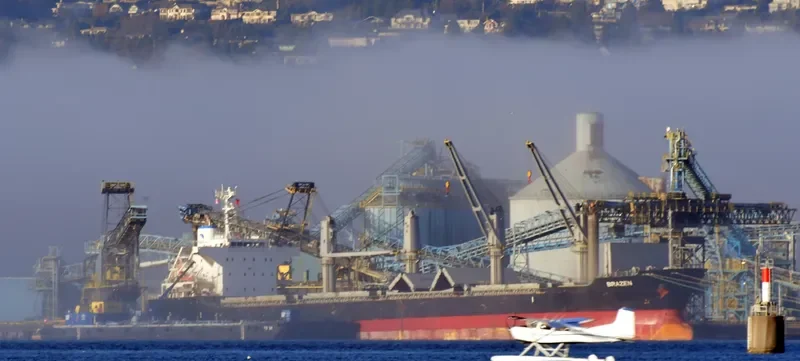 BRAZEN Bulk Carrier IMO 9700811