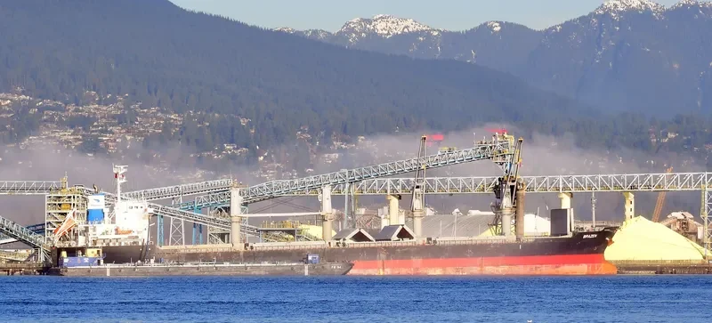 BRAZEN Bulk Carrier IMO 9700811 photo 2