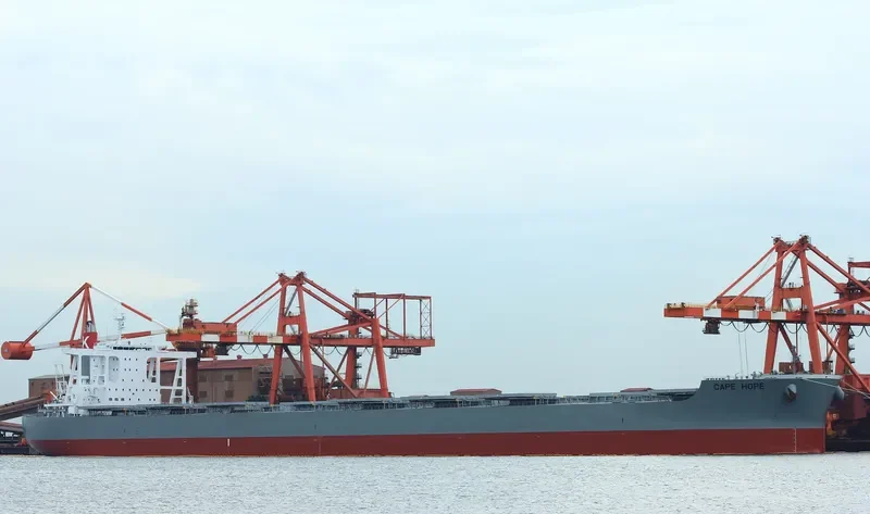 CAPE HOPE Bulk Carrier IMO 9700823 photo 8