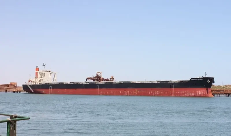 ORANGE PHOENIX Bulk Carrier IMO 9700835