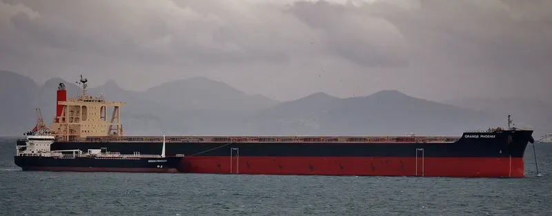 ORANGE PHOENIX Bulk Carrier IMO 9700835 photo 3