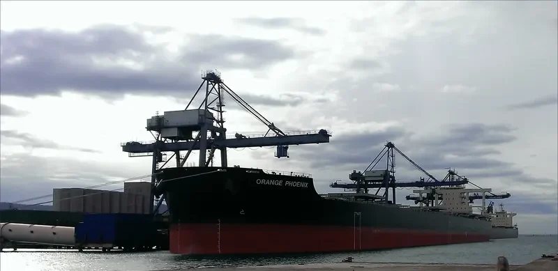 ORANGE PHOENIX Bulk Carrier IMO 9700835 photo 6