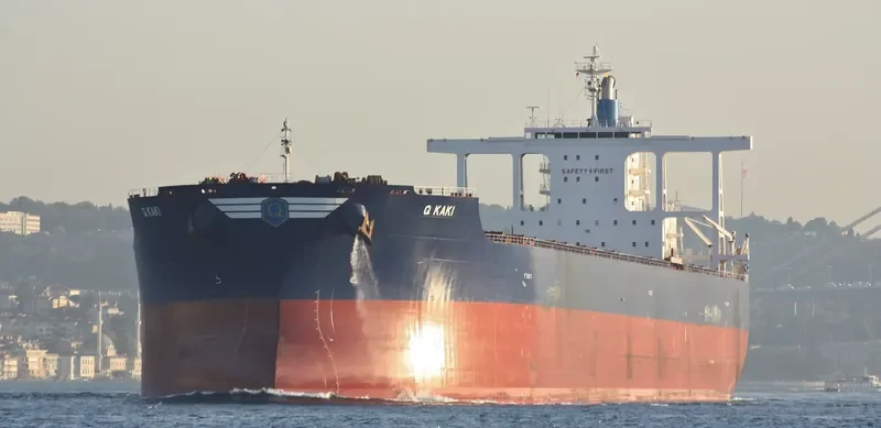 GOLDEN KAKI Bulk Carrier IMO 9701176 photo 7