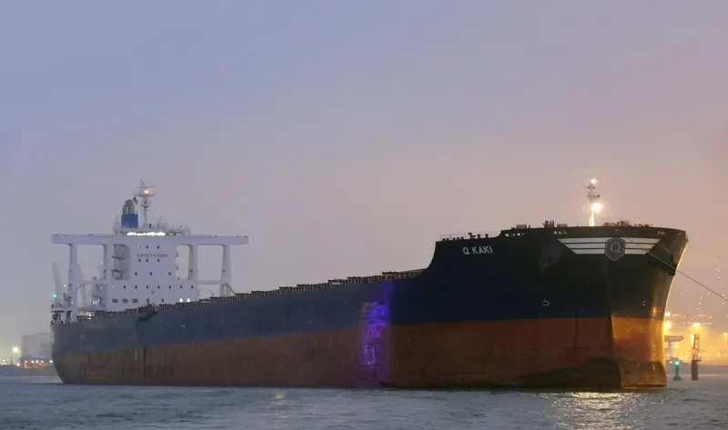 GOLDEN KAKI Bulk Carrier IMO 9701176 photo 8