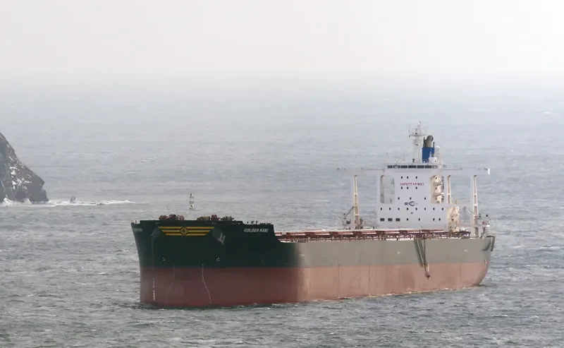 GOLDEN KAKI Bulk Carrier IMO 9701176 photo 9