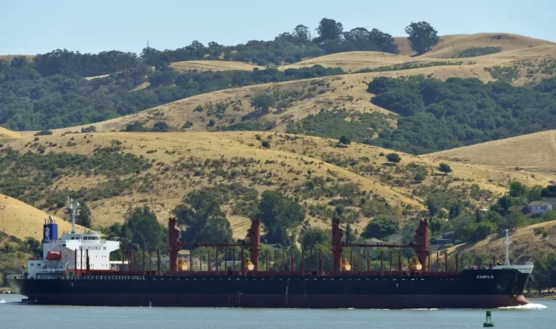 CAMILA Bulk Carrier IMO 9701231 photo 6