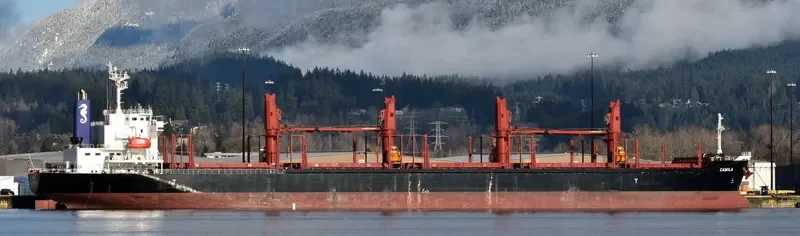 CAMILA Bulk Carrier IMO 9701231 photo 9