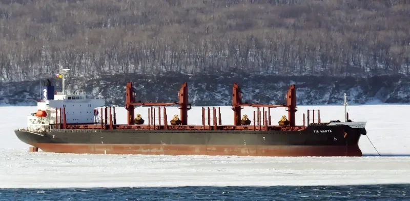 TIA MARTA Bulk Carrier IMO 9701243 photo 5