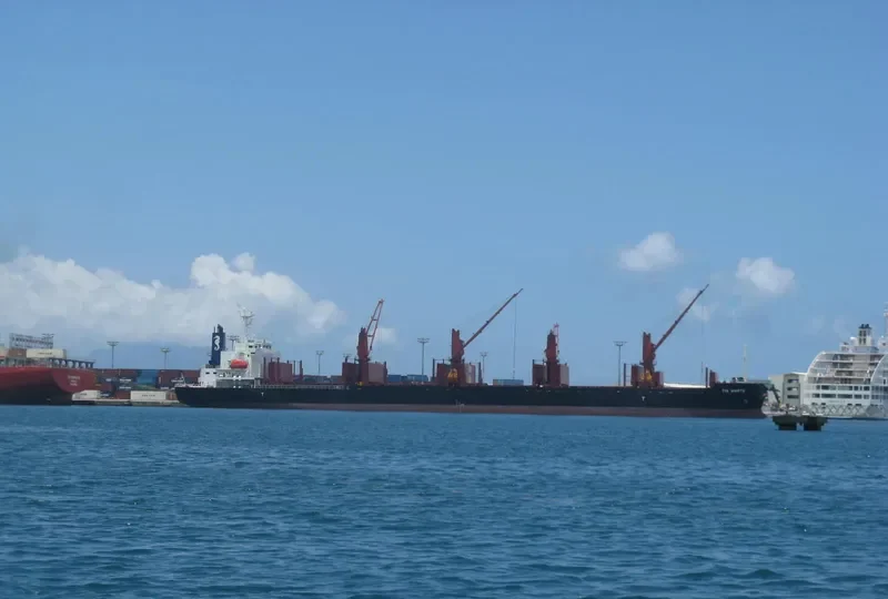TIA MARTA Bulk Carrier IMO 9701243 photo 6