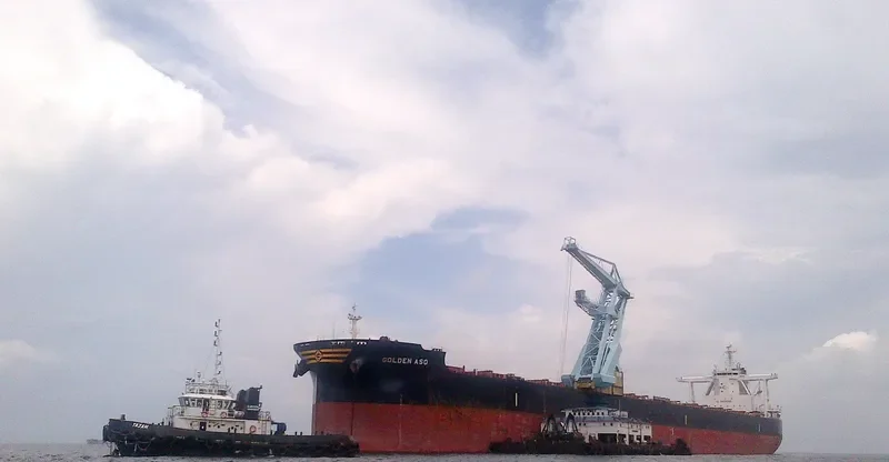 GOLDEN ASO Bulk Carrier IMO 9701334 photo 2