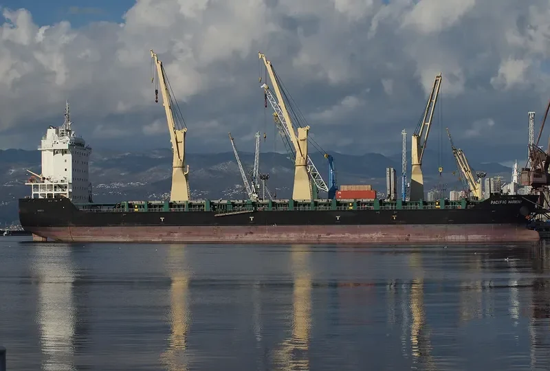 PACIFIC HARMONY General Cargo IMO 9701451 photo 6