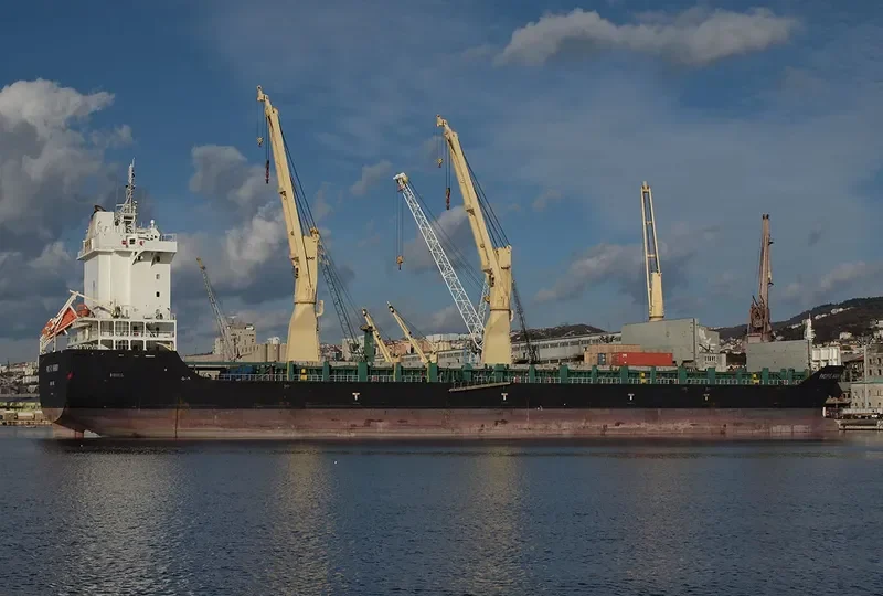PACIFIC HARMONY General Cargo IMO 9701451 photo 8