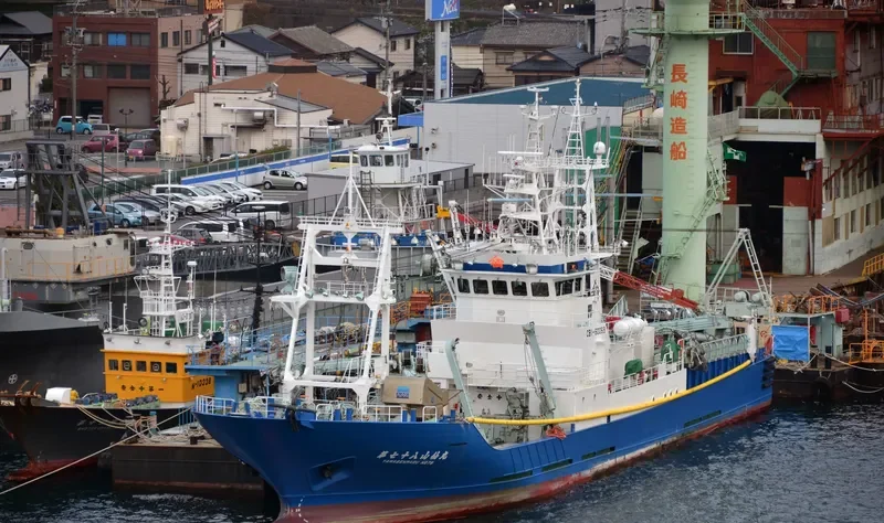 YAMASEN MARU NO.78 General Cargo IMO 9701865