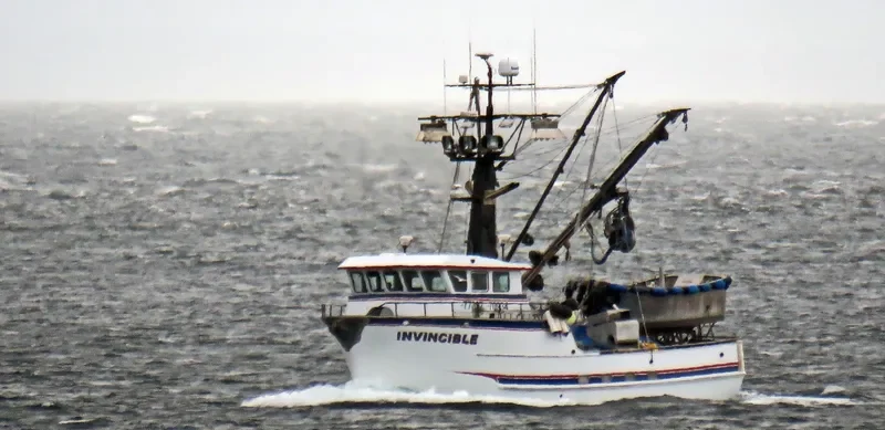 INVINCIBLE General Cargo IMO 9702352 photo 2