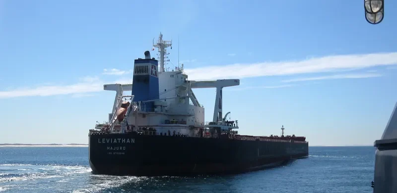 LEVIATHAN Bulk Carrier IMO 9702546 photo 2
