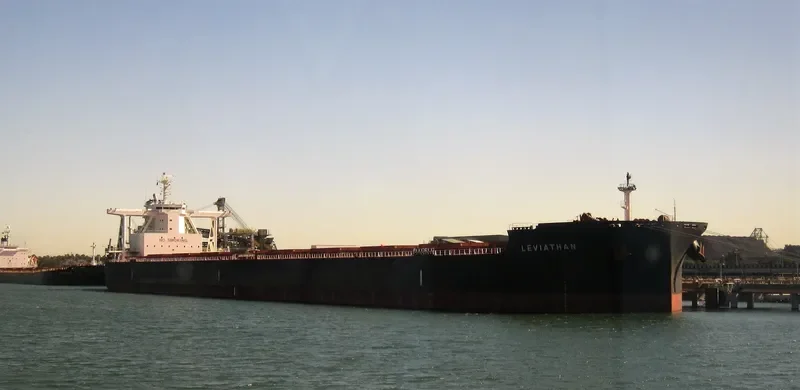 LEVIATHAN Bulk Carrier IMO 9702546 photo 3