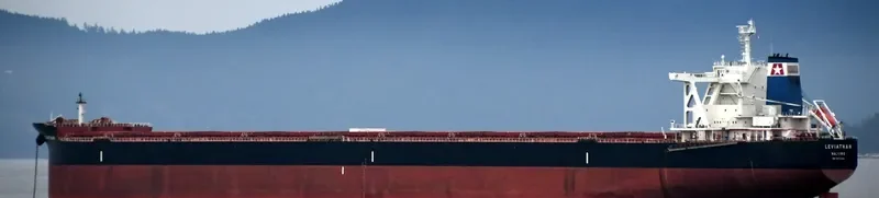 LEVIATHAN Bulk Carrier IMO 9702546 photo 4