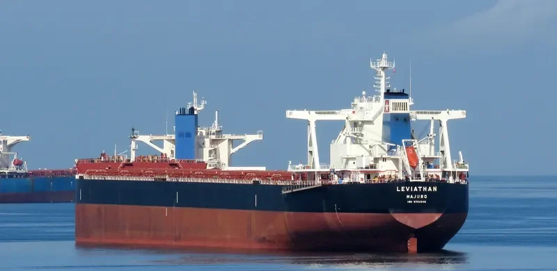 LEVIATHAN Bulk Carrier IMO 9702546 photo 5
