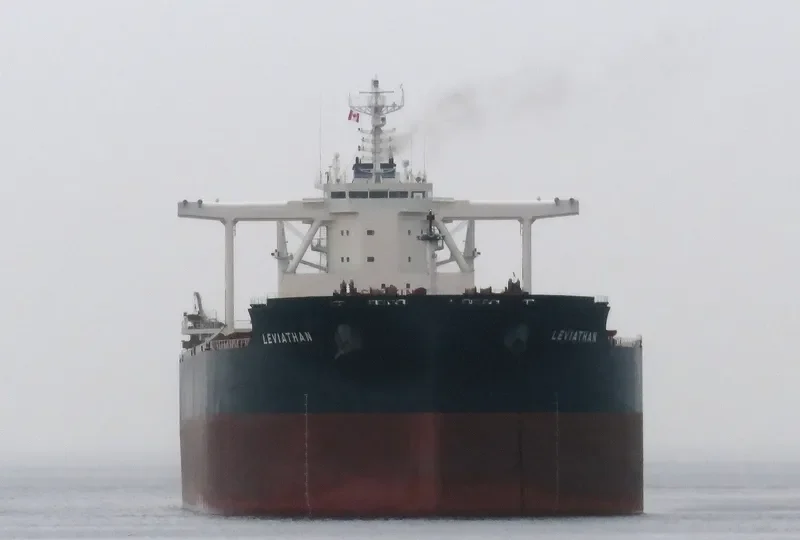 LEVIATHAN Bulk Carrier IMO 9702546 photo 6