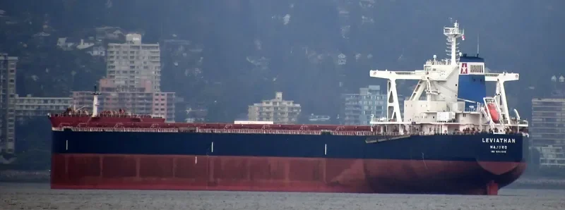 LEVIATHAN Bulk Carrier IMO 9702546 photo 7
