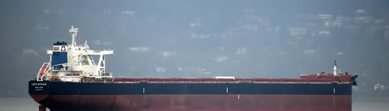 LEVIATHAN Bulk Carrier IMO 9702546 photo 8