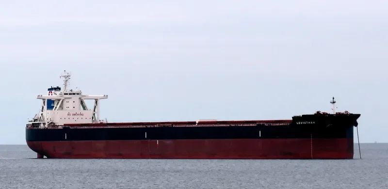 LEVIATHAN Bulk Carrier IMO 9702546 photo 9