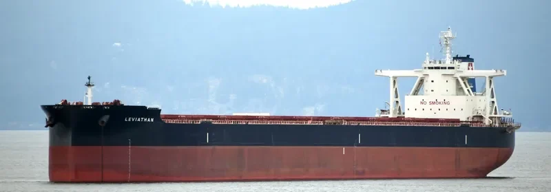 LEVIATHAN Bulk Carrier IMO 9702546 photo 10