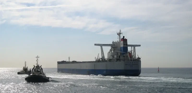 CHINA STEEL EXPLORATION Bulk Carrier IMO 9702560 photo 2