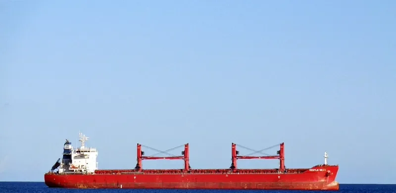 GENTLE SEAS Bulk Carrier IMO 9703514
