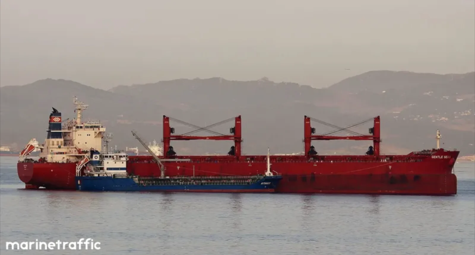 GENTLE SEAS Bulk Carrier IMO 9703514 photo 2
