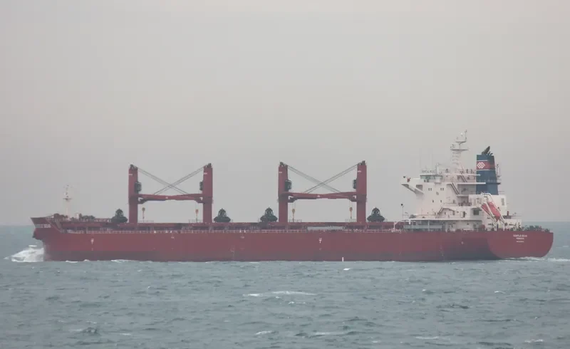 GENTLE SEAS Bulk Carrier IMO 9703514 photo 5