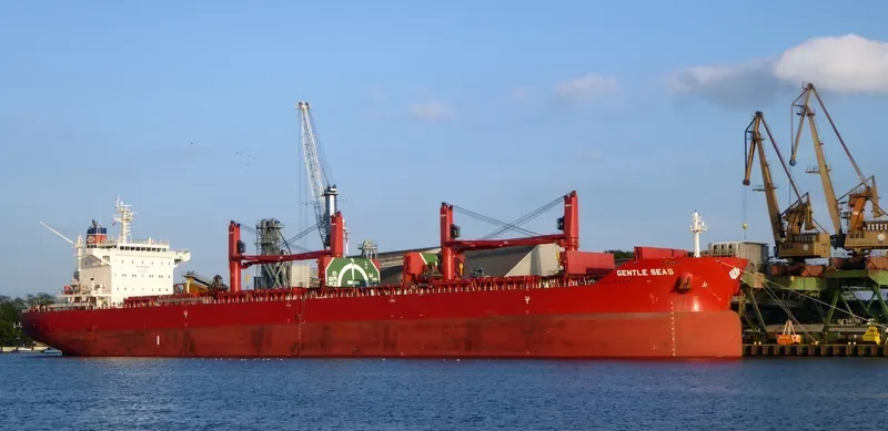 GENTLE SEAS Bulk Carrier IMO 9703514 photo 21