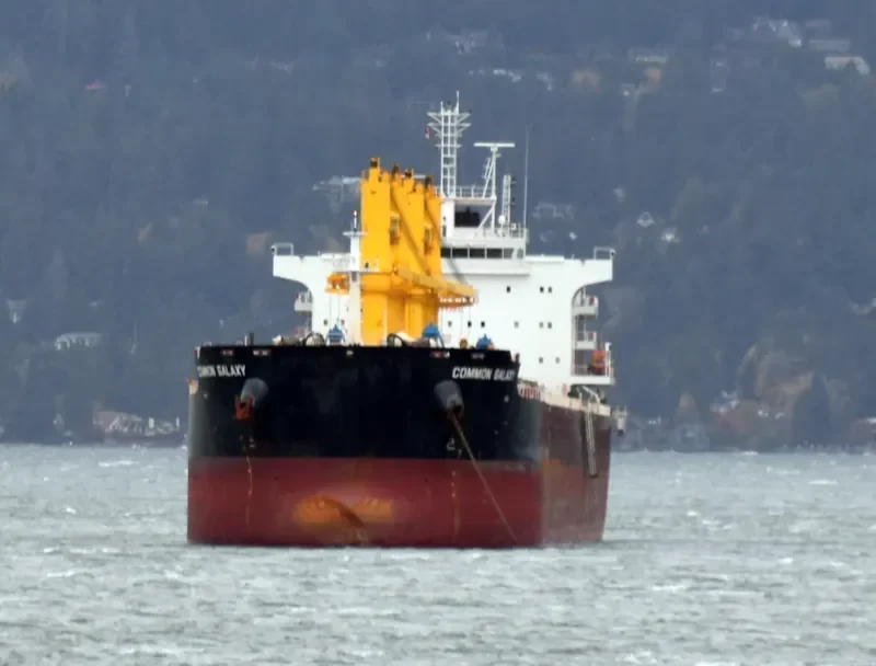 COMMON GALAXY Bulk Carrier IMO 9704831 photo 4