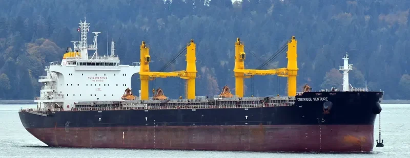COMMON GALAXY Bulk Carrier IMO 9704831 photo 7