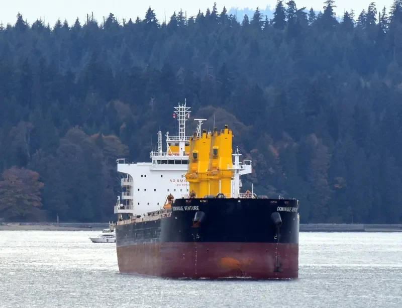 COMMON GALAXY Bulk Carrier IMO 9704831 photo 8